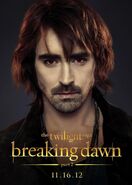 TwilightBD2 018.jpg (128 KB)
