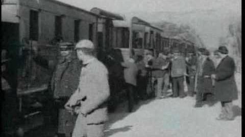 L'Arrivée d'un Train en Gare de la Ciotat