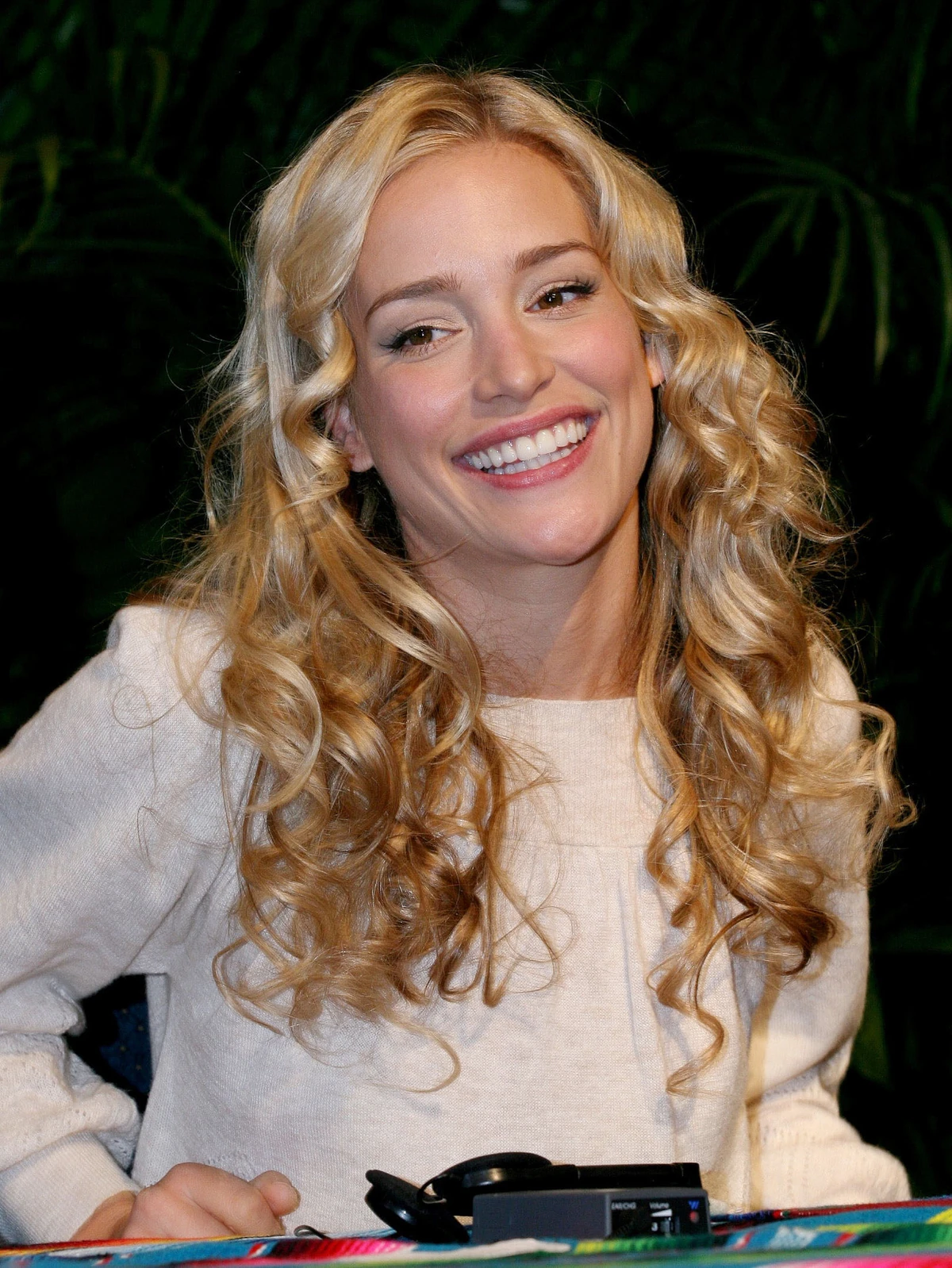 Piper Perabo | Moviepedia | Fandom