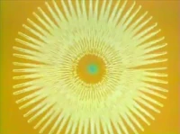 C7836D7F-B4FE-41D2-9F05-4ADBF9E62B18