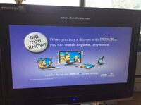Did You Know? 2