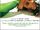 Adaptation/Home media