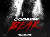 Cocaine Bear