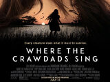 Where the Crawdads Sing (film)