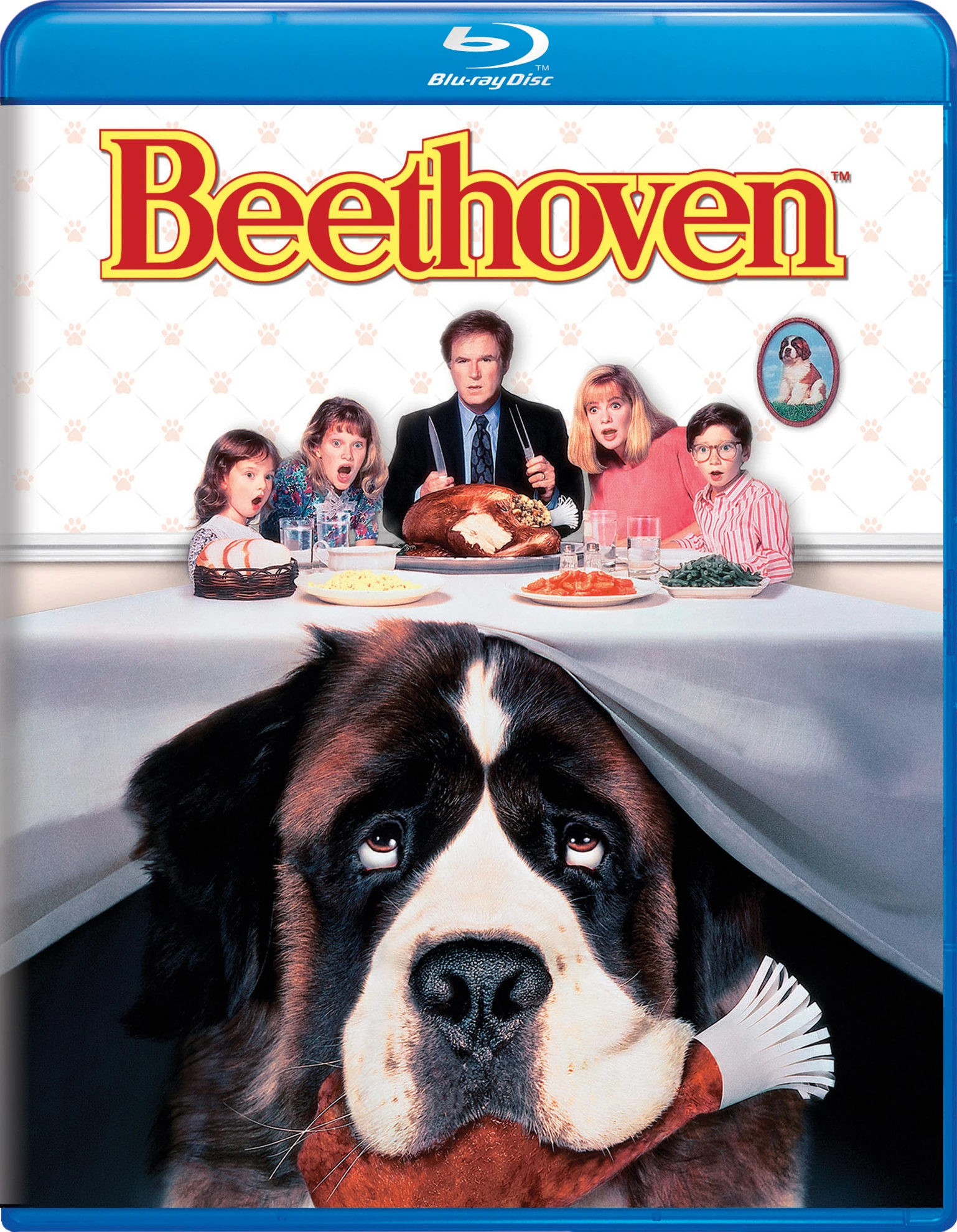 その他 Beethoven: the Sound &amp; the Fury [DVD] [Import] その他 Beethoven: the Sound & the Fury [DVD] [Import] Amazon