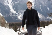 TwilightBD2 048.jpg (116 KB)