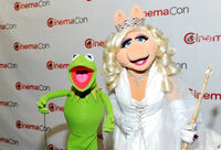 The-muppets-sequel-20120425033941679-3632289
