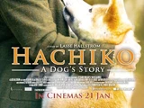 Hachi: A Dog's Tale