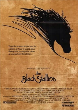 BlackStallion