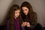 TwilightBD2 051.jpg (94 KB)