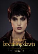 TwilightBD2 005