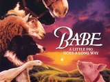 Babe