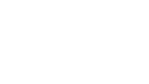 Finding Nemo logo (White)