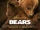 Bears