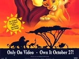 The Lion King II: Simba's Pride