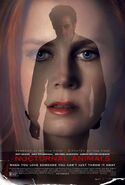 Nocturnal Animals (wide expansion)