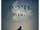 Gone Girl