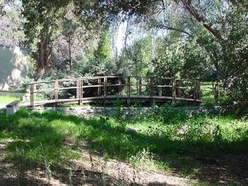 Pierce college bridge2