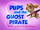 Pups and the Ghost Pirate