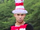 Cat in the hat.png