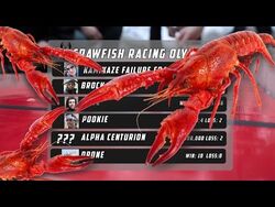 Crawfish Racing