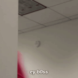 Pink Guy Filthy Frank Wiki Fandom