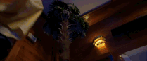 Ezgif.com-crop