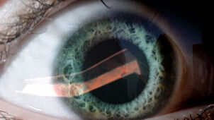 Fd4 vision 12.jpg