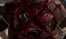 Andy, diced by the fence.