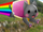 NyanCat