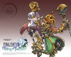 Köp Wii Final Fantasy Crystal Chronicles - Echoes of Time - Concept