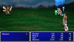 Final Fantasy II (PSP).