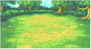 FFI Background Forest1
