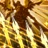 Winged Reprobation from Final Fantasy XIV icon