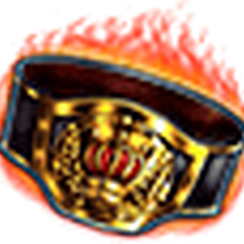 Champion Belt Final Fantasy Wiki Fandom