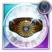 FFRK Muscle Belt FFDII
