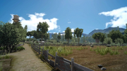 Saxham Outpost overgrown fields from FFXV.png