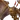 Grim Gaze X2 portrait