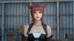 Miqo Te Final Fantasy Wiki Fandom