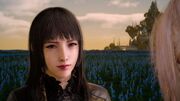 Gentiana Version 1