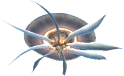 Yovra as seen when floating beyond reach.