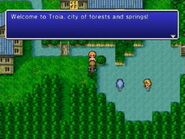 Final Fantasy IV: The After Years (Wii).