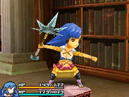 Final Fantasy Crystal Chronicles: Echoes of Time.