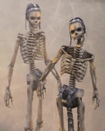 Bestiary entry (PlayStation 2).