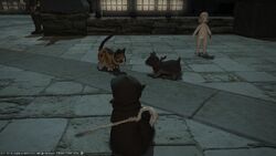Minion Final Fantasy Xiv Final Fantasy Wiki Fandom
