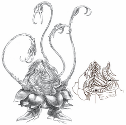 Ochu Final Fantasy X Final Fantasy Wiki Fandom