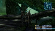 Wood-Toad-FFXII-TZA.jpg (315 KB) An invisible Wood Toad behind the party.