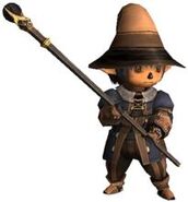 A Tarutaru Black Mage in Final Fantasy XI.