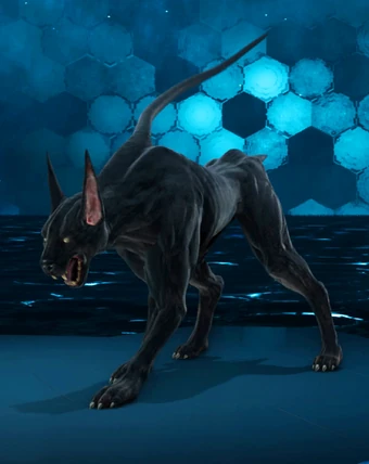 cutting a yorkie's hair