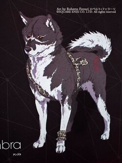 What kind of dog is umbra from final deals fantasy